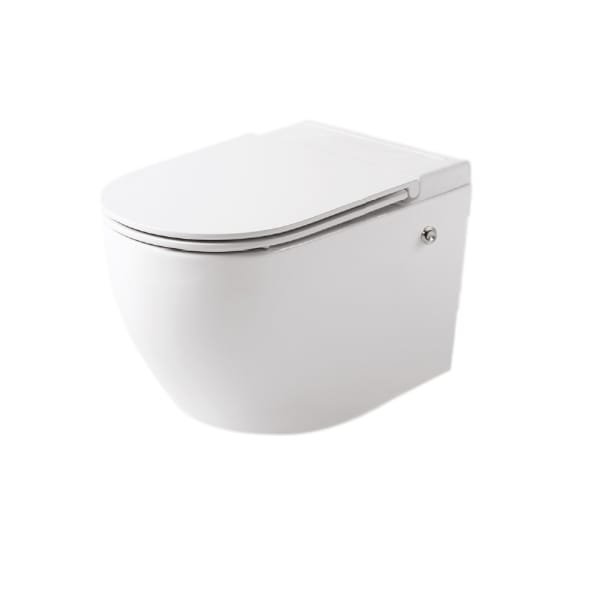 Simpolo - Aquaintel Round Tankless wall hung toilet with UF seat Cover